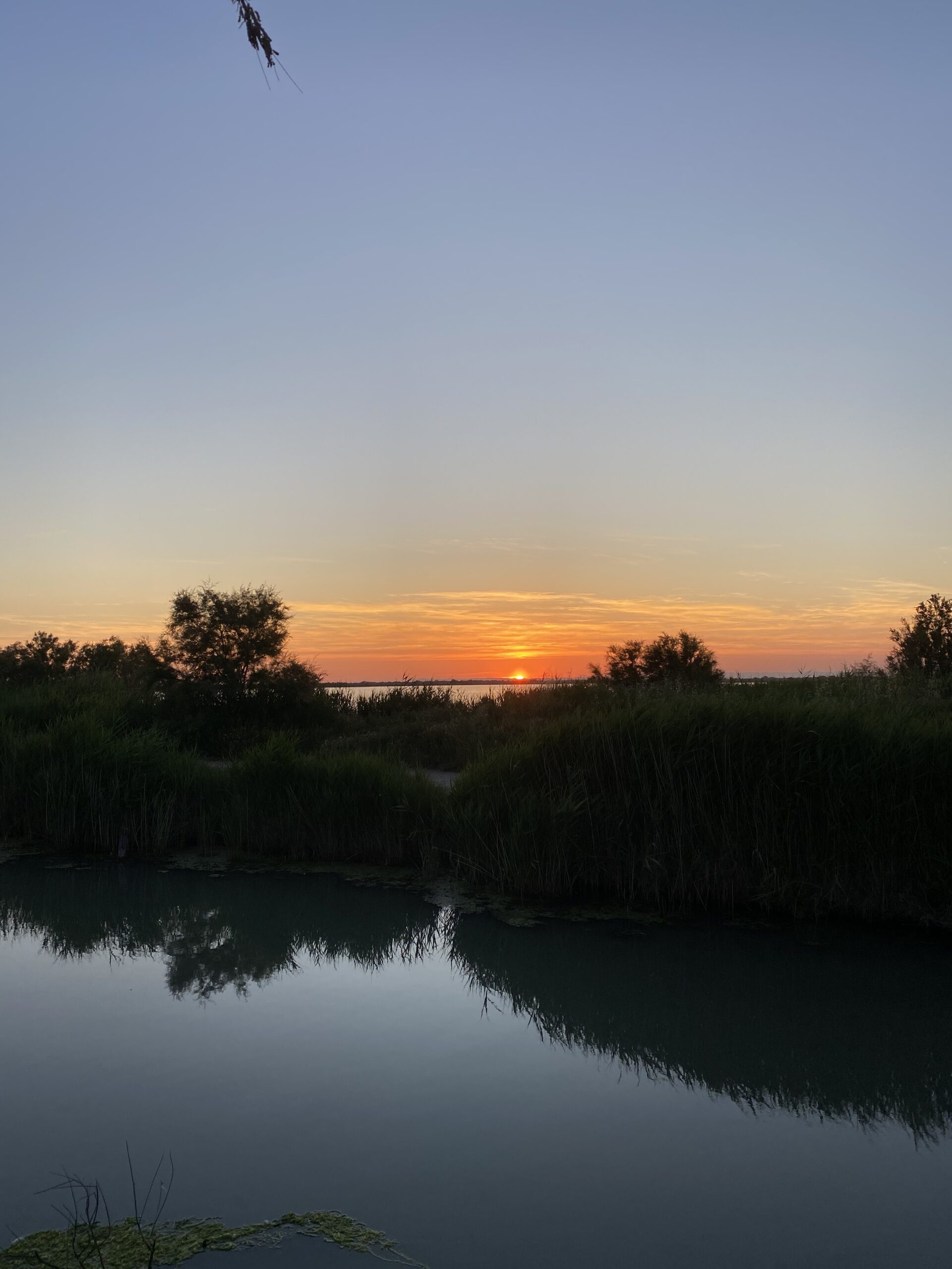 atardecer en Saintes-Maries-de-la-Mer